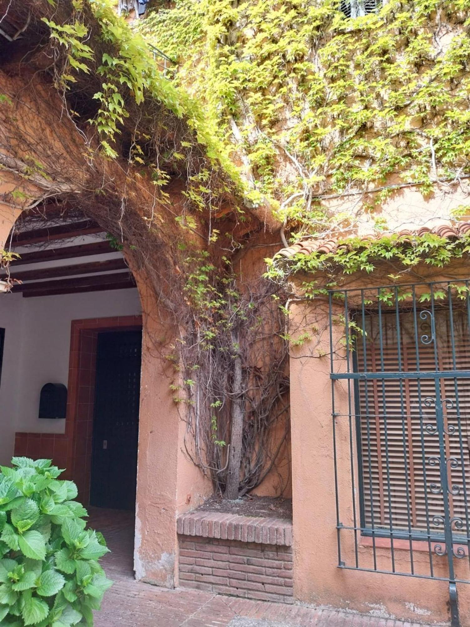 Apartamento Con Terraza Vistas Al Mar Lloret de Mar Eksteriør billede