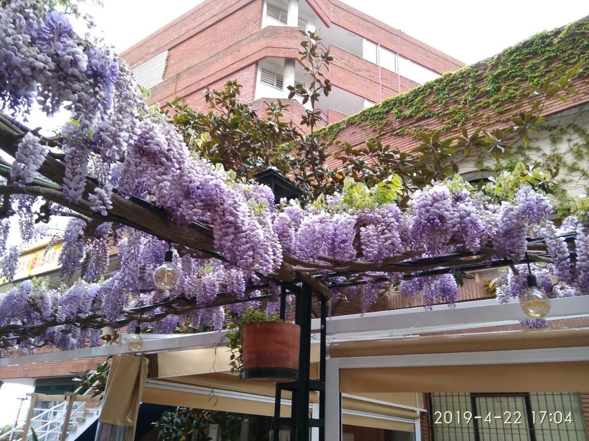 Apartamento Con Terraza Vistas Al Mar Lloret de Mar Eksteriør billede